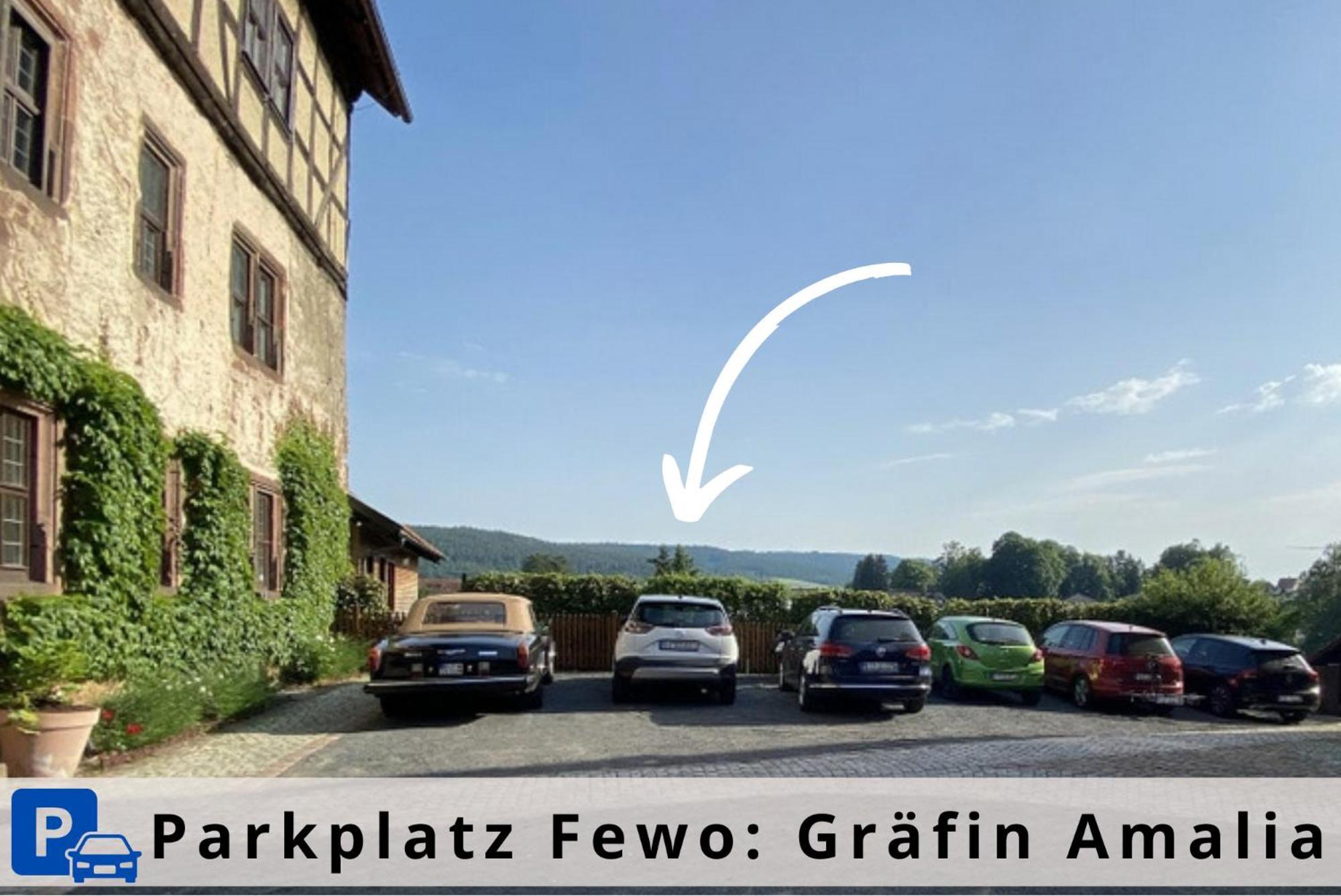 Graefin Amalia - Elegantes Apartment In Der Historischen Hinterburg In Schlitz, 2 Schlafzimmer, Mit Garten, Nahe Fulda Und Bad Hersfeld Exterior foto